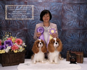 Sibling Rivalry in Indianapolis