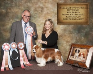 Trip winning Puppy of the Year