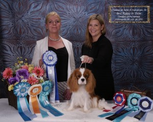 Trip winning his first CKCSC major.